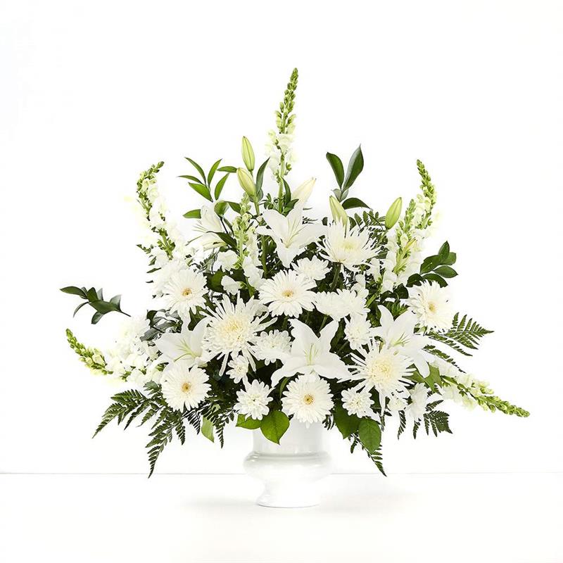 Peace Eternal Tribute