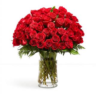Love Knows No Bounds - 5 Dozen Red Roses