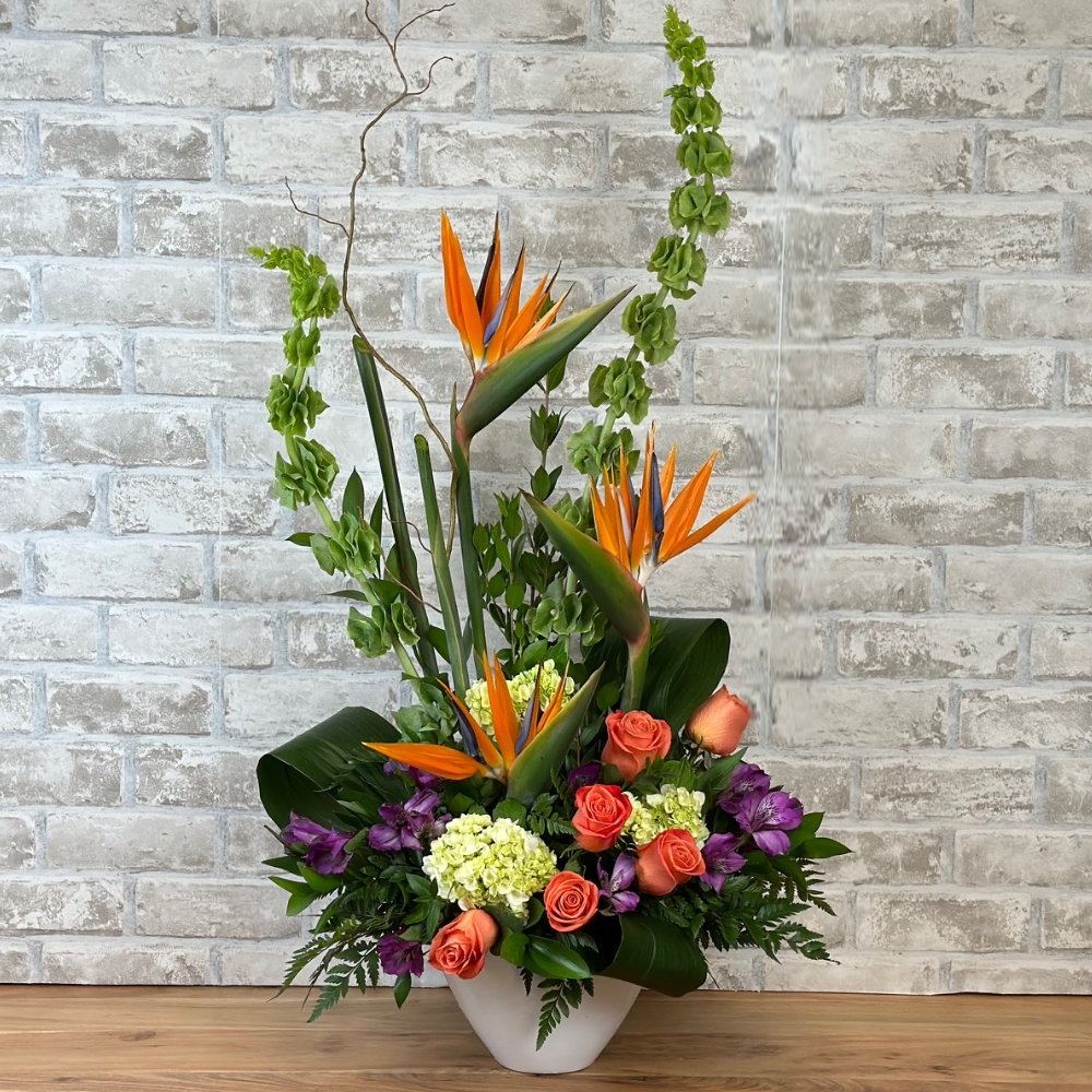 Fly Away for Sympathy