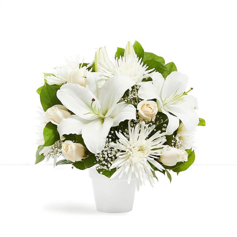 Soothing Sentiments for Sympathy