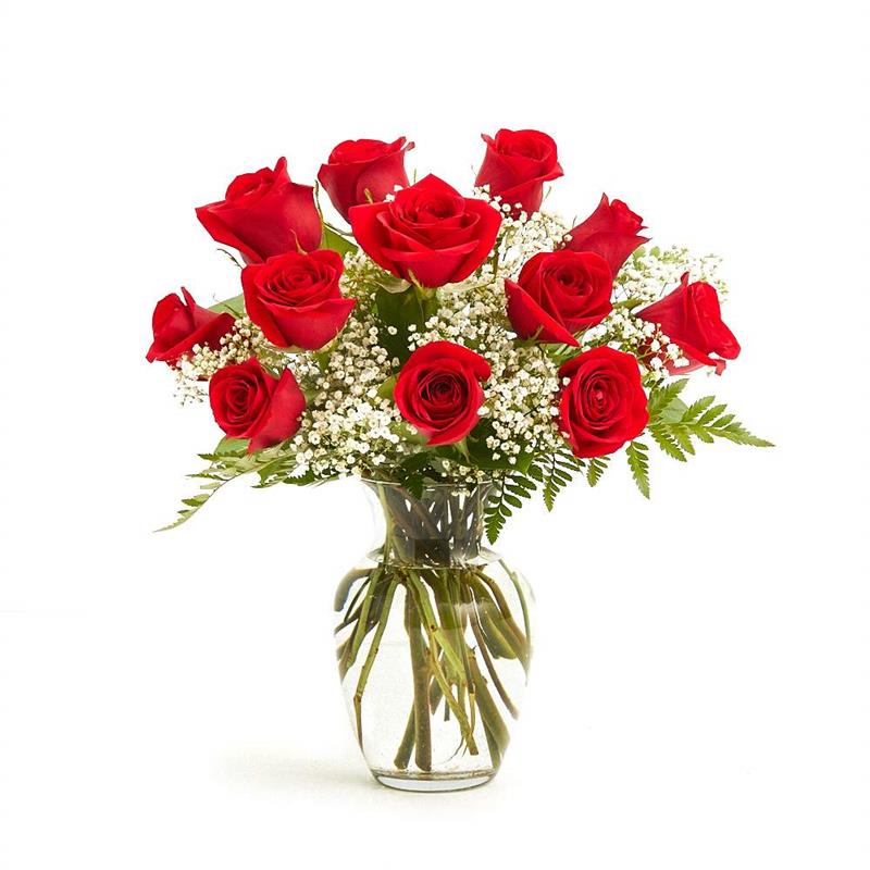 Timeless - One Dozen Red Roses-Standard