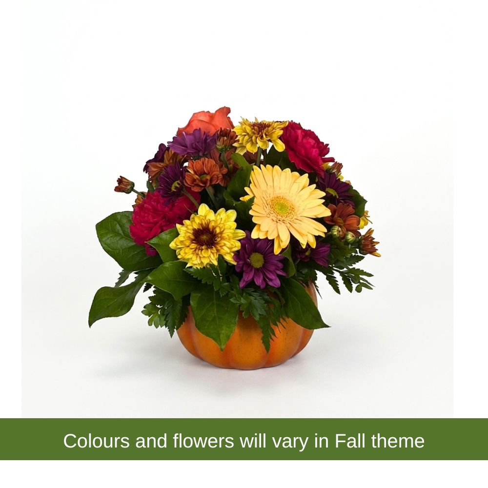Florist's Choice Pumpkin
