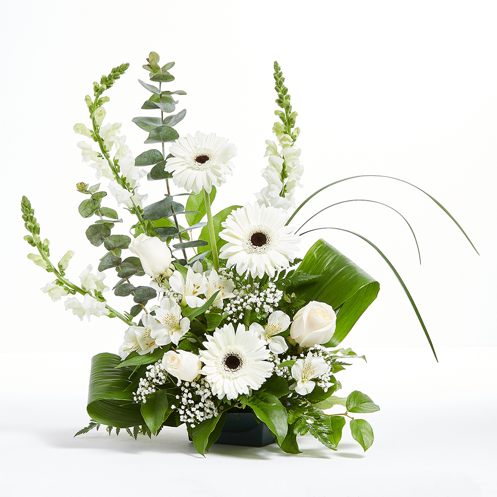 Graceful Moments for Sympathy