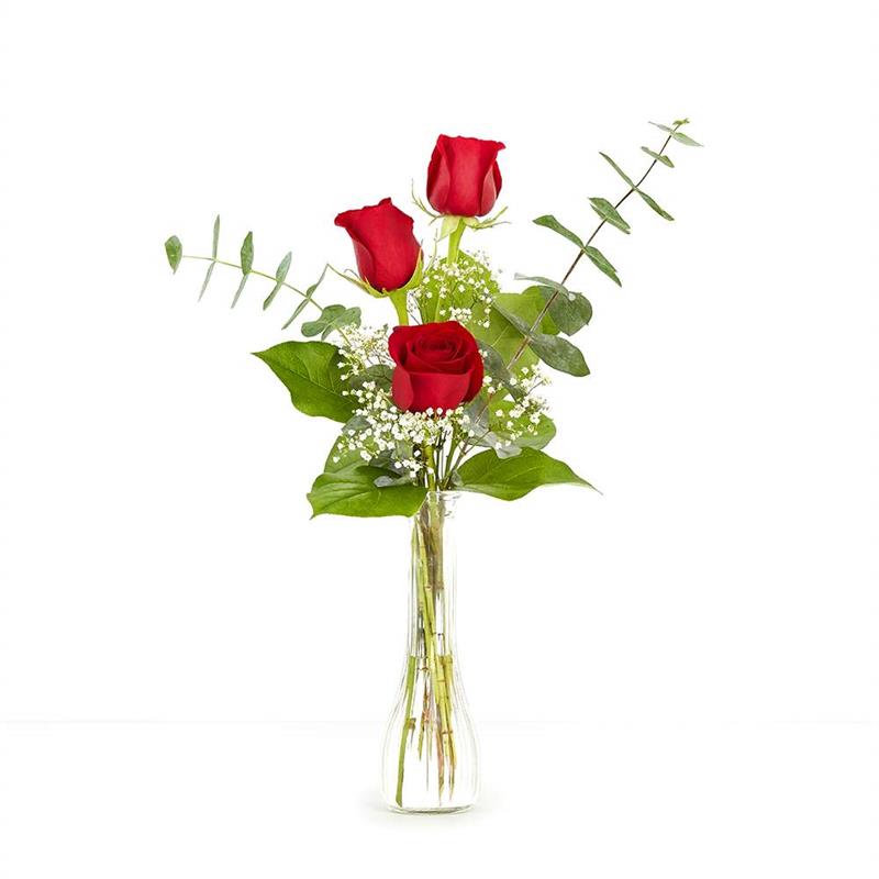 Traditional Three Red Roses
