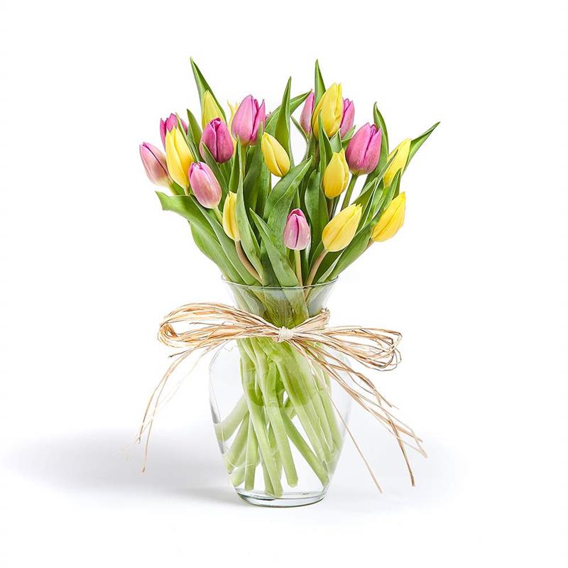 Cheerful Tulips
